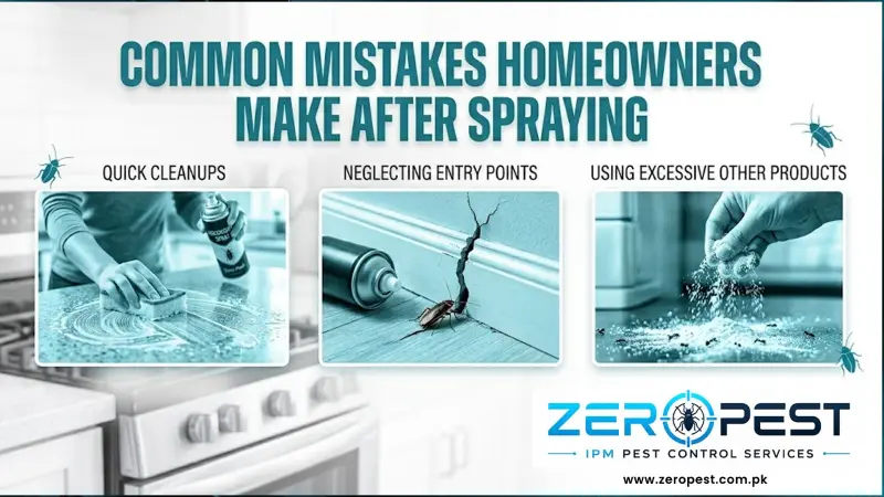 Infographic explaining why cockroaches keep coming back after spraying, highlighting cleanup mistakes, entry points, and overuse of products.